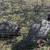 Guinea Fowl Breeding Pair 2 thumbnail