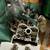 2009 Kawasaki KX250 Dirt Bike 7 thumbnail