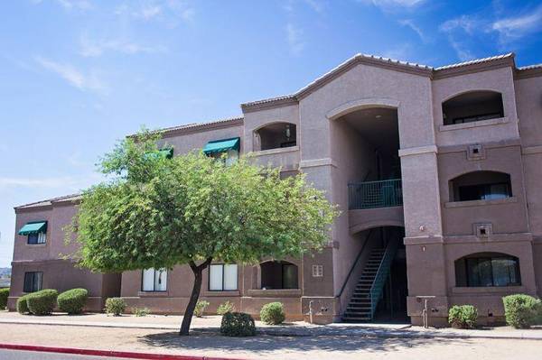 $1,315 / 3br - 1196ft2 - Pool, Laundry Facility Onsite, Two, Three, and Four Bedroom Options64024989899779120