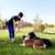 Dog Trainer Needed – Flexible Hours – We Provide the Clients 8 thumbnail