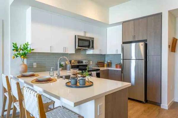 $1,750 / 1br - 586ft2 - Modern APARTMENT with Rooftop Lounge and Great Features (san jose downtown)63657895941123121