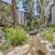 MOVE-IN SPECIALS! APPLICATION FEES WAIVED! 1 BD/ 1 BTH! $2075- $2290! 5 thumbnail