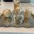 Decorative silver plated tray with candles 5 thumbnail