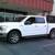 2019 Ford F150 SuperCrew Cab XLT Pickup 4D 5 1/2 ft 7 thumbnail