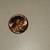 1964 Uncirculated pennies one cent coins 2 thumbnail