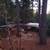Room for Rent in Beautiful Upper Magalia, CA on 3.5 acre homestead! 5 thumbnail