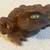 Vintage Japanese Hand Carved Cryptomeria Frog Sugi Wood Toad 2 thumbnail