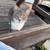 Barn cats 2 thumbnail