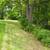 waterfront lot , on loon lake chain of lakes 12 thumbnail