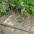 2BAs! Pilsen! FREE GARAGE PARKING! Stainless, DW In Unit Laundry AC... 13 thumbnail