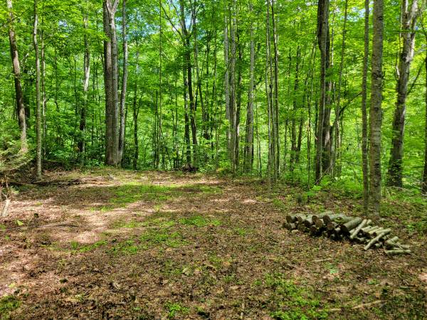 $79,500 2.98 Acres - Quiet lot nestled in the hills (Villages of Plott Creek, Waynesville)64029206914433120
