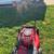 CRAFTSMAN 6.75 HP LAWN MOWER $159 2 thumbnail