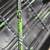 Compound bow, carbon arrows, case 9 thumbnail