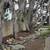 💯% PERFECT VACCUMED GUTTER CLEANINGS PEBBLE BEACH 21 thumbnail