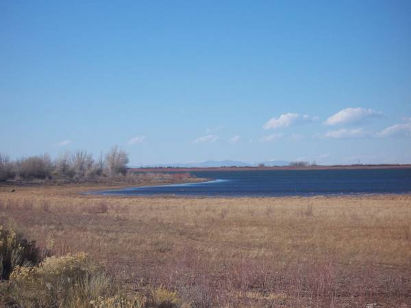 $8,000 RIO GRANDE RIVER RANCHES (9) 1/4 ACRES COLORADO NEAR TOWN SAN LUIS (San Luis)63857623357569120