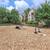 2/bd 2/ba, Walk-in Closets, All-electric Kitchen 2 thumbnail
