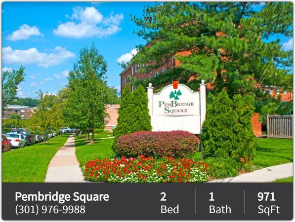 $1,809 / 2br - 971ft2 - Pet paradise! 2 Bed/1 Bath perfect for furry companions. (Wheaton - Silver Spring)63822293739905121