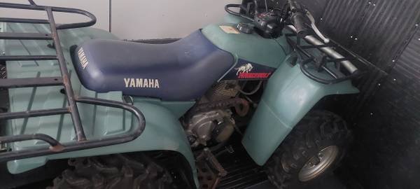 1996 Yamaha Timberwolf 1