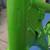 Vintage 1994 Kawasaki KDX200 Enduro Frame KDX 200 Dirt Bike 3 thumbnail