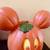 Disney Mickey Mouse Light Up Jack O Lantern BRAND NEW WITH TAG 5 thumbnail
