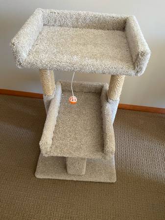 New, 32 in. Real carpet cat tree with toy. 1