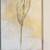 S. Vasseleva Framed Floral Picture Print 3 thumbnail