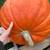 GIANT Pumpkins, organically grown beauties! + Winter Squash:) 5 thumbnail