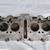 Honda Vintage 750 engine & engine parts 9 thumbnail