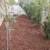 Landscaping and Yard Cleanups 16 thumbnail