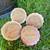 Electric Candle Melter Country Farmhouse Rustic 15 thumbnail