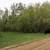 160 acres hunting land in beltrami county 4 thumbnail