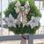 Royal Princess Pine Christmas Wreaths 5 thumbnail