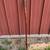 Walking stick 1 thumbnail