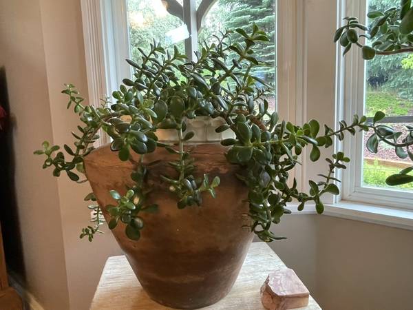 Cascading JADE 1