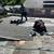 ROOFS of ART- Licensed Roofing Contractor (818)-813-2585 8 thumbnail