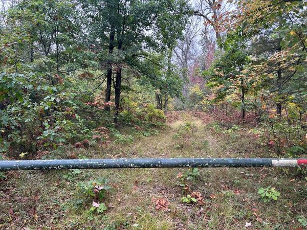$39,000 Nicely wooded 5 acres (Baldwin)64037724569345121