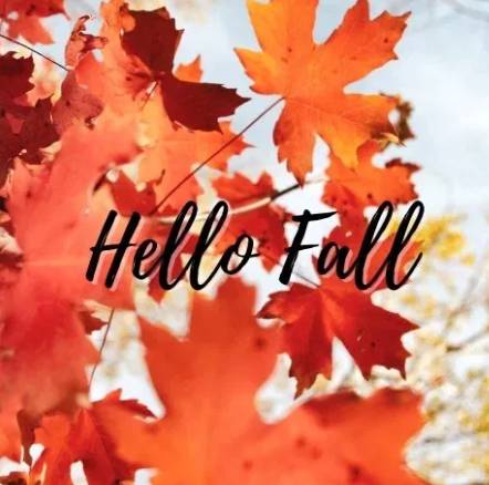 $1,399 / 3br - 🍂  The Leaves Are Falling & So Are Our Availability Spots! (Greensboro)64027277727491120