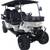 TrailMaster TBM X4 Electric Golf Cart 4 & 6 Seat - Financing Avail!!! 4 thumbnail