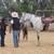 His & Her Horses Lease or Ride w a Friend 9 thumbnail