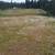 5 Acres with Irrigation 4 thumbnail