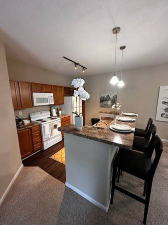 $1,649 / 2br - 1173ft2 - 307 2 bed 1 month free waived app & admin 60 day hold (Asheville)64029372639746123