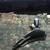 Shimano XT front deraileur bike 1 thumbnail