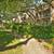 = Poolside 2BR condo for rent - South Congress $1375 1st MONTH FREE = 1 thumbnail