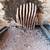 Bees bugging you? We exclude bees from choosing your property, live-trap those t 22 thumbnail