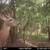 5 Acres vacant land 8 thumbnail