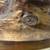 French Moreau Bronze Lamp 1900s Francaise Collection 5 thumbnail