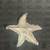 Anne Klein Silver Tone Starfish Brooch Pin 2 thumbnail