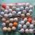 Golf balls, bulk lot 1 thumbnail