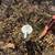 3 Acres For Sale! 23 thumbnail