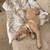 Black Mouth Cur 4 thumbnail